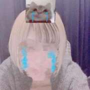 ヒメ日記 2025/11/03 18:06 投稿 ゆめ 吉原ファーストレディ