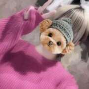 ヒメ日記 2025/11/04 10:59 投稿 ゆめ 吉原ファーストレディ