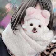 ヒメ日記 2025/12/03 15:46 投稿 ゆめ 吉原ファーストレディ