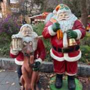 ヒメ日記 2025/12/15 16:46 投稿 ゆめ 吉原ファーストレディ