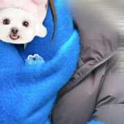 ヒメ日記 2026/01/29 16:31 投稿 ゆめ 吉原ファーストレディ