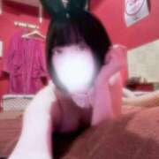 ヒメ日記 2026/02/10 12:27 投稿 カノン【森〇葵似の美少女】 バニーコレクション 中洲店