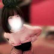 ヒメ日記 2026/04/09 22:17 投稿 カノン【森〇葵似の美少女】 バニーコレクション 中洲店