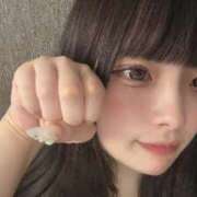 ヒメ日記 2025/09/04 12:02 投稿 カナリ きらめけ！にゃんにゃん学園in大宮