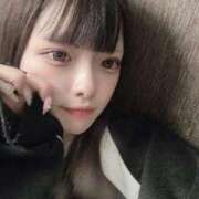 ヒメ日記 2025/09/06 12:01 投稿 カナリ きらめけ！にゃんにゃん学園in大宮