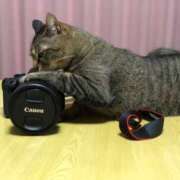 ヒメ日記 2026/04/02 18:58 投稿 かのん 恋愛マット同好会