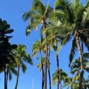 ヒメ日記 2025/10/06 09:42 投稿 リオン AMOUR（アムール）