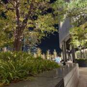 ヒメ日記 2025/11/25 21:18 投稿 リオン AMOUR（アムール）