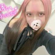 ヒメ日記 2025/12/22 13:08 投稿 れの 海物語