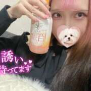 ヒメ日記 2025/12/23 12:10 投稿 れの 海物語