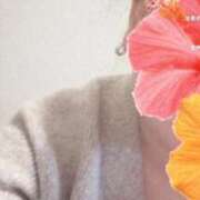 かのん おはようございます☀️ 一宮稲沢小牧ちゃんこ