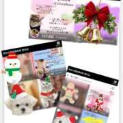 ヒメ日記 2025/12/23 07:36 投稿 安西 熟女の風俗最終章　鶯谷店