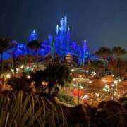 ヒメ日記 2026/01/24 23:56 投稿 安西 熟女の風俗最終章　鶯谷店