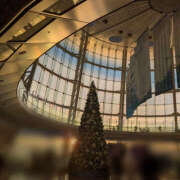 ヒメ日記 2025/11/21 17:27 投稿 ちづる ハピネス東京