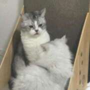 ヒメ日記 2025/09/05 18:01 投稿 144cmグッド最小「ちいちゃん GOOD-グッド-