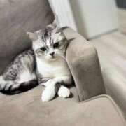 ヒメ日記 2025/12/14 03:32 投稿 144cmグッド最小「ちいちゃん GOOD-グッド-