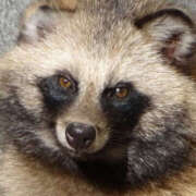 はるね 予約まってます🫶 ドリーム水戸