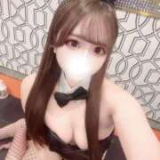 ヒメ日記 2025/11/22 16:53 投稿 らら TOKYO BUNNYS CLUB
