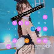 ヒメ日記 2026/04/22 20:23 投稿 らら TOKYO BUNNYS CLUB
