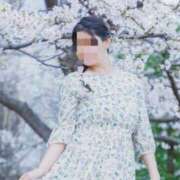 ヒメ日記 2026/04/02 09:55 投稿 さくら ハイ・チュッ