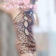 ヒメ日記 2025/11/17 19:06 投稿 音無あん 夜這い専門 発情する奥様たち梅田店