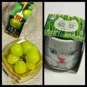 ヒメ日記 2025/12/27 13:32 投稿 みはる 豊満熟女