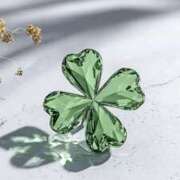 ヒメ日記 2025/09/09 07:41 投稿 木村あかね 昼下がりの情事