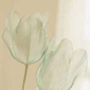 ヒメ日記 2025/11/03 00:03 投稿 木村あかね 昼下がりの情事