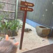 ヒメ日記 2025/12/09 18:23 投稿 そら 藤沢人妻城