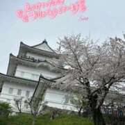 ヒメ日記 2026/04/11 13:26 投稿 そら 藤沢人妻城