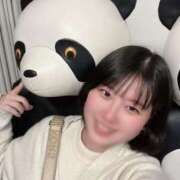 ヒメ日記 2025/11/02 15:06 投稿 桜井　みく 夜這い専門 発情する奥様たち梅田店