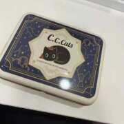 ヒメ日記 2026/01/09 17:02 投稿 桜井　みく 夜這い専門 発情する奥様たち梅田店