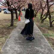 ヒメ日記 2026/03/17 17:36 投稿 桜井　みく 夜這い専門 発情する奥様たち梅田店