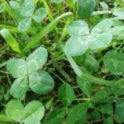 ヒメ日記 2025/09/01 19:51 投稿 のん バッドカンパニー水戸