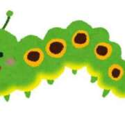 ヒメ日記 2025/10/17 15:17 投稿 夕姫（ゆうひ） NOA（ノア）