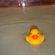 ヒメ日記 2025/11/20 10:35 投稿 夕姫（ゆうひ） NOA（ノア）