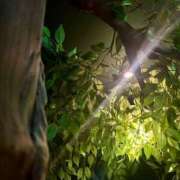 ヒメ日記 2025/11/20 14:07 投稿 夕姫（ゆうひ） NOA（ノア）