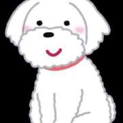 ヒメ日記 2025/12/13 19:36 投稿 夕姫（ゆうひ） NOA（ノア）