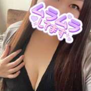 ヒメ日記 2025/11/26 12:46 投稿 すずか モアグループ宇都宮人妻花壇