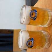 ヒメ日記 2026/02/14 10:28 投稿 黒沢 鶯うぐ