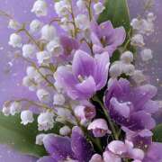 ヒメ日記 2026/03/23 10:42 投稿 黒沢 鶯うぐ