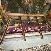 ヒメ日記 2025/09/12 18:53 投稿 あおい おいらん(池袋)