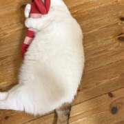 ヒメ日記 2025/10/14 12:00 投稿 あおい おいらん(池袋)