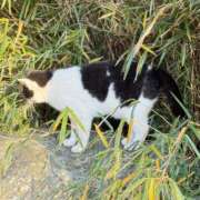 ヒメ日記 2025/12/23 22:00 投稿 あおい おいらん(池袋)