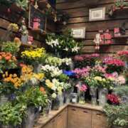 ヒメ日記 2026/03/09 22:54 投稿 しおん☆ 粋美　suibi