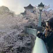 ヒメ日記 2026/04/02 00:42 投稿 しおん☆ 粋美　suibi