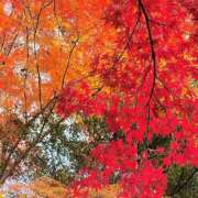 ヒメ日記 2025/09/13 14:35 投稿 あんこ【業界未経験】 茨城水戸ちゃんこ