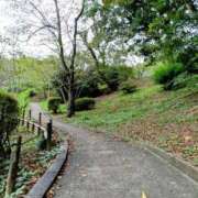 ヒメ日記 2025/09/16 09:05 投稿 あんこ【業界未経験】 茨城水戸ちゃんこ