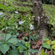 ヒメ日記 2025/09/22 19:05 投稿 あんこ【業界未経験】 茨城水戸ちゃんこ