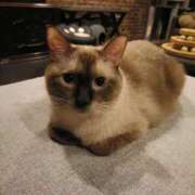 ヒメ日記 2025/10/04 00:05 投稿 あんこ【業界未経験】 茨城水戸ちゃんこ